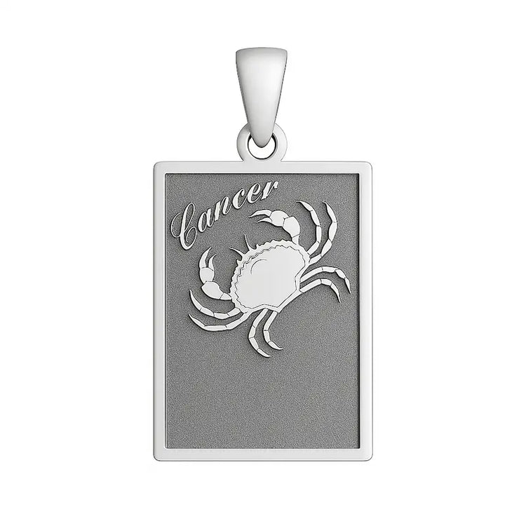 Pendentif homme argent massif, grand modèle de 4,8 cm sur son attache.