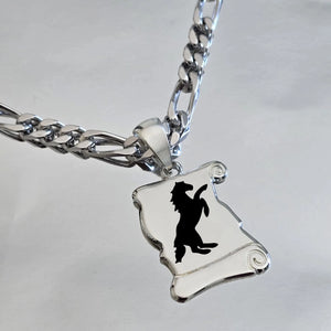 Médaille parchemin étalon en argent massif 925 accompagnée d’une chaîne Figaro robuste pour homme
